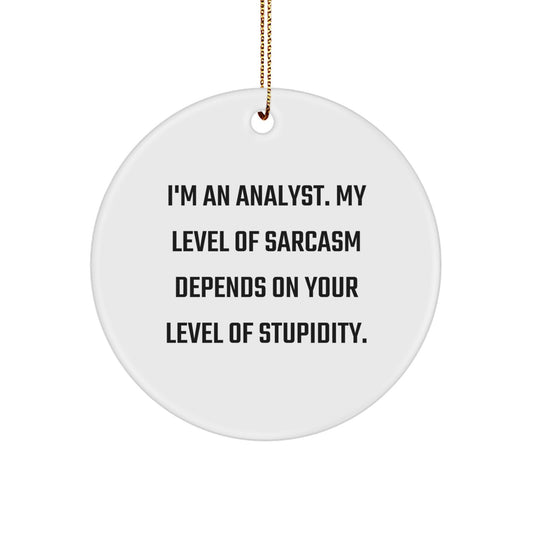 Funny Analyst Gifts for Men - White Circle Ornament with Sarcasm Quote, Gifts from Friends for Office Christmas Unique Gifts - Image 1