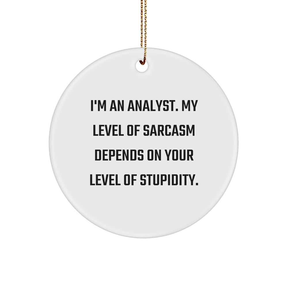 Funny Analyst Gifts for Men - White Circle Ornament with Sarcasm Quote, Gifts from Friends for Office Christmas Unique Gifts - Image 1