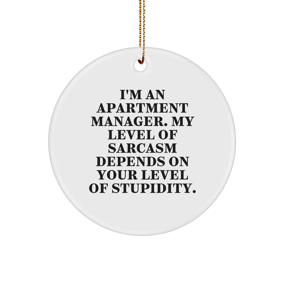 Funny Apartment Manager Gifts, Gifts from Friends to Apartment Manager, Cute Christmas Unique Gifts, Circle Ornament, I'm An Apartment Manager - Image 1