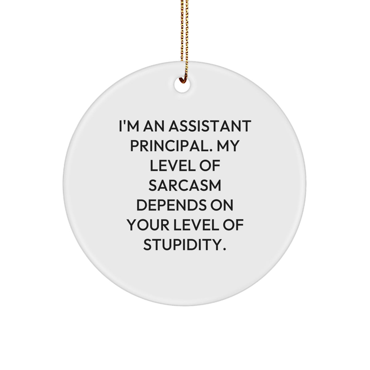 Funny Assistant Principal Gifts for Men, Christmas Unique Circle Ornament Gifts from Friends, Coworkers, Family with Sarcasm Quote - Image 1