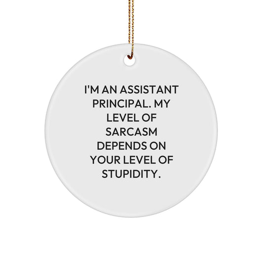 Funny Assistant Principal Gifts for Men, Christmas Unique Circle Ornament Gifts from Friends, Coworkers, Family with Sarcasm Quote - Image 1