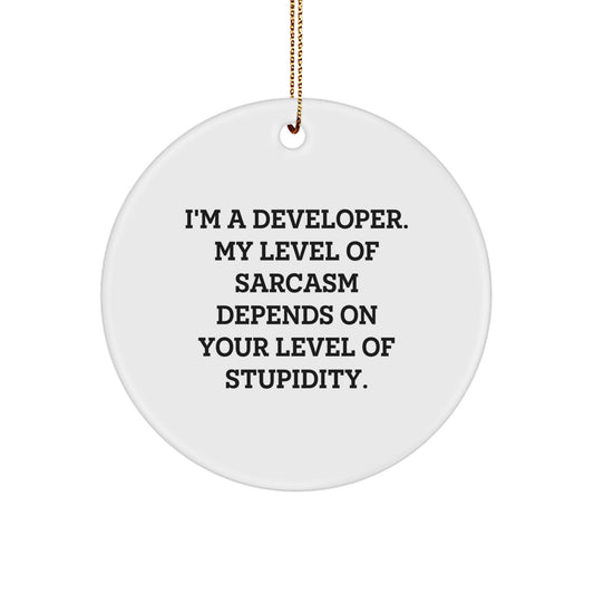 Funny Developer Gifts for Men from Friends - Circle Ornament - I'm A Developer. My Level Of Sarcasm Depends On Your Level Of Stupidity., Christmas Unique Gifts for Developers - Image 1