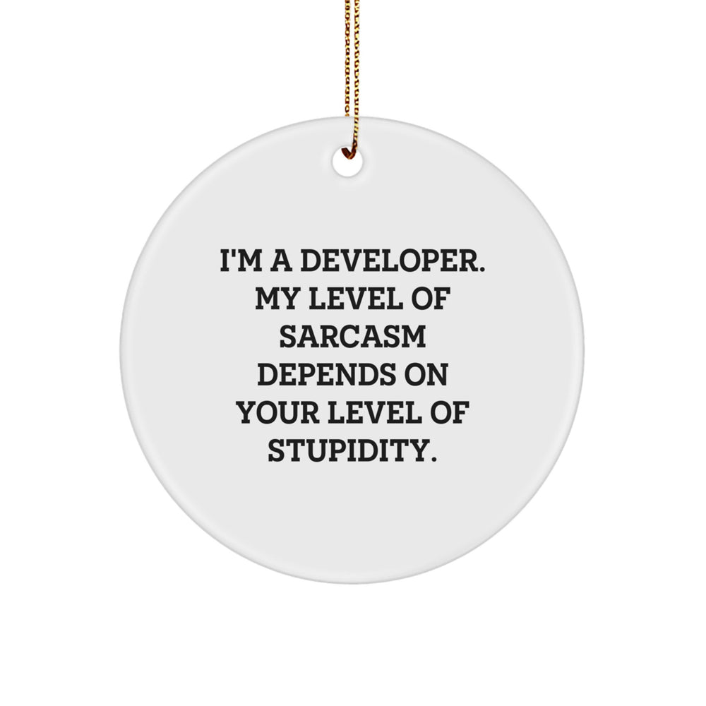 Funny Developer Gifts for Men from Friends - Circle Ornament - I'm A Developer. My Level Of Sarcasm Depends On Your Level Of Stupidity., Christmas Unique Gifts for Developers - Image 1