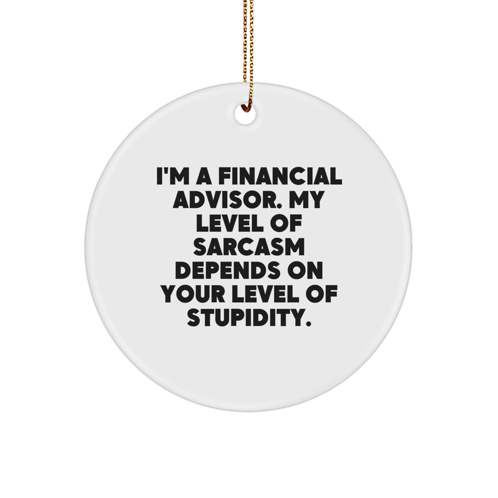 Funny Financial Advisor Gifts for Christmas - Circle Ornament with Sarcasm Quote, 'I'm A Financial Advisor. My Level Of Sarcasm Depends On Your Level Of Stupidity.' - Gifts from Men to Women - Image 1