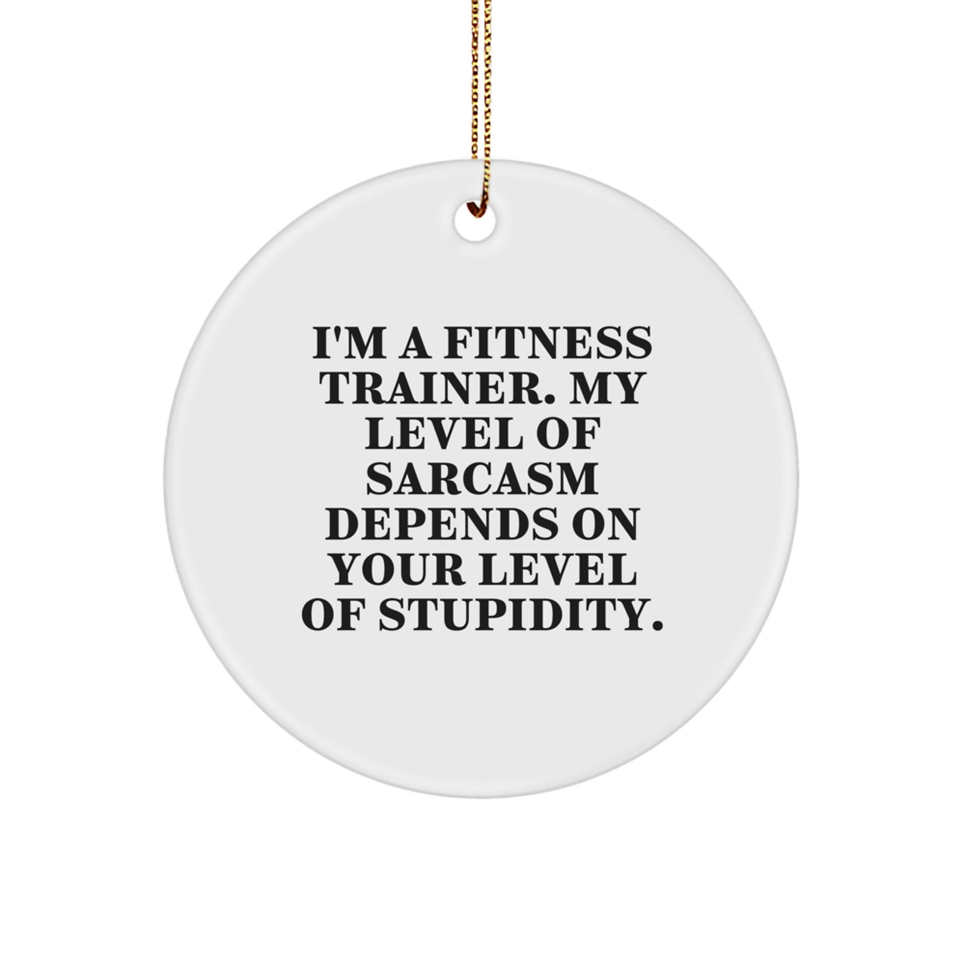 Funny Fitness Trainer Gifts from Friends for Men - I'm A 'Fitness Trainer' Level Of Sarcasm Depends On Your Level Of Stupidity. Circle Ornament, Christmas Unique Decorations - Image 1