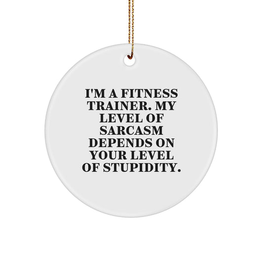 Funny Fitness Trainer Gifts from Friends for Men - I'm A 'Fitness Trainer' Level Of Sarcasm Depends On Your Level Of Stupidity. Circle Ornament, Christmas Unique Decorations - Image 1