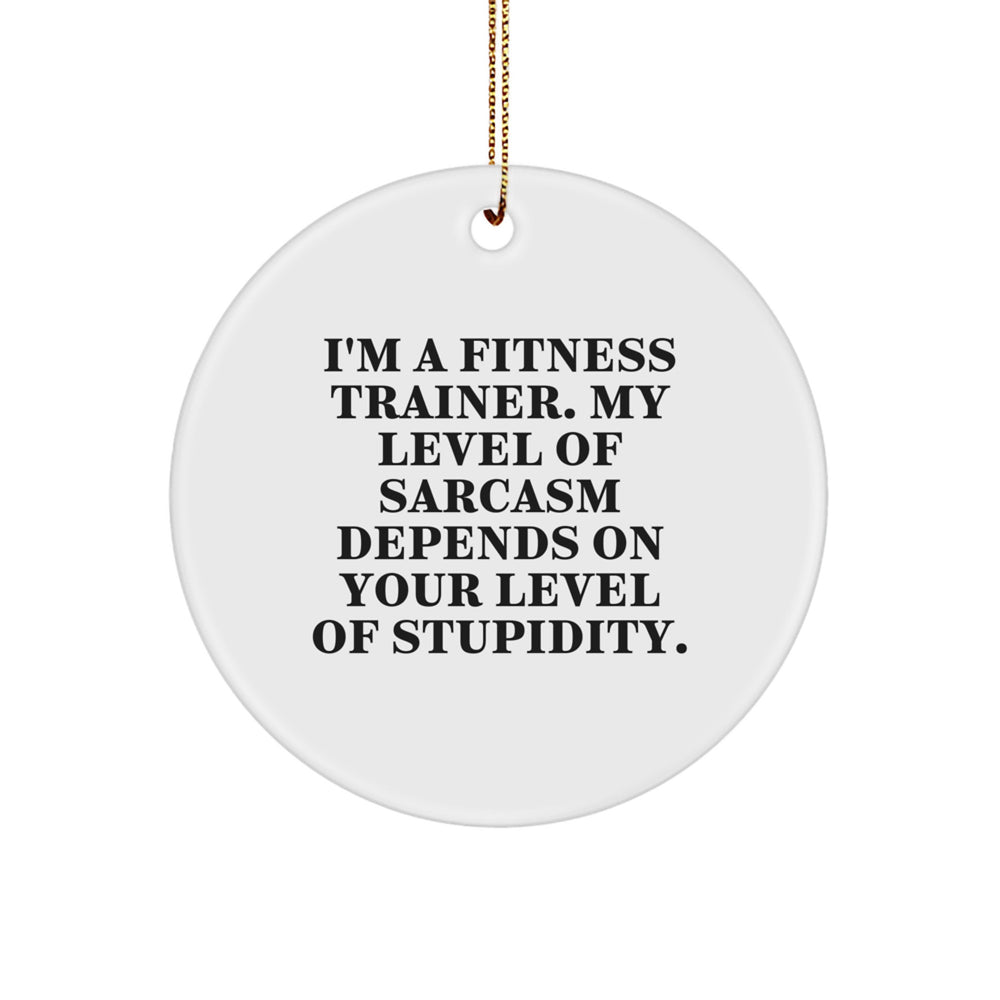 Funny Fitness Trainer Gifts from Friends for Men - I'm A 'Fitness Trainer' Level Of Sarcasm Depends On Your Level Of Stupidity. Circle Ornament, Christmas Unique Decorations - Image 1