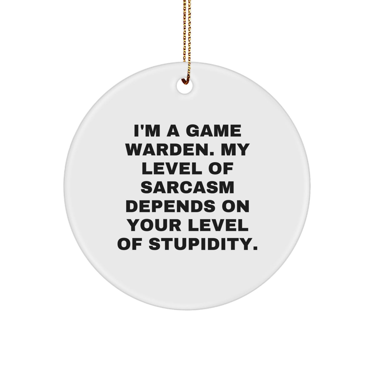 Funny Game Warden Gifts from Friends - I'm A Game Warden. My Level Of Sarcasm Depends On Your Level Of Stupidity. Circle Ornament for Christmas Unique Gifts - Image 1
