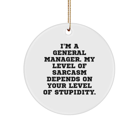 Funny Gifts for General Manager, Humorous Circle Ornament, Great Christmas Unique Gifts from Friends and Family, Sarcasm Level Depends on Stupidity, General Manager Gift - Image 1