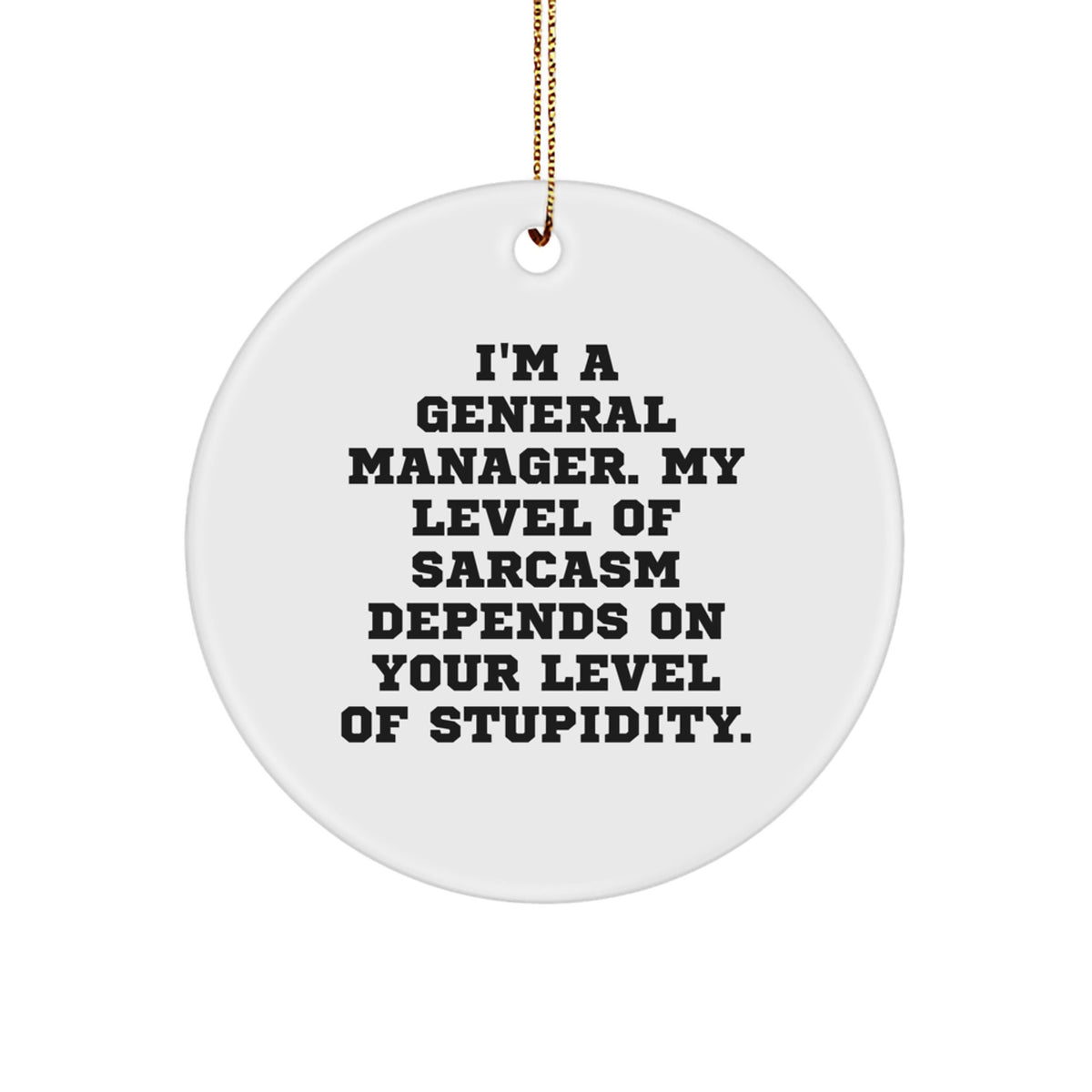 Funny Gifts for General Manager, Humorous Circle Ornament, Great Christmas Unique Gifts from Friends and Family, Sarcasm Level Depends on Stupidity, General Manager Gift - Image 1