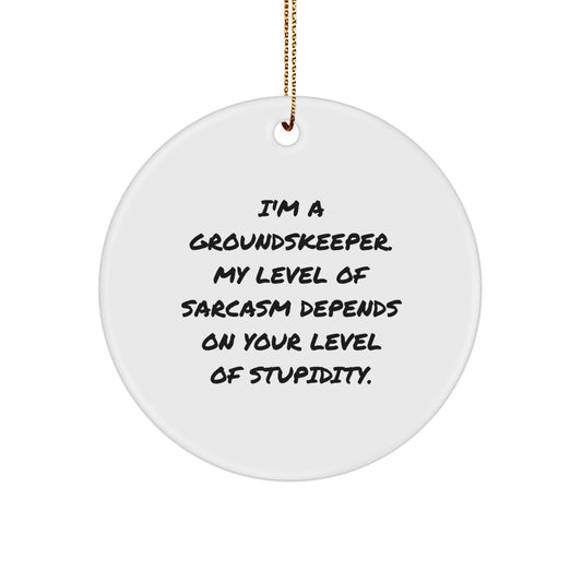 Funny groundskeeper Gifts from Friends and Family - 'I'm A groundskeeper' Circle Ornament for Christmas Unique Gifts - Image 1
