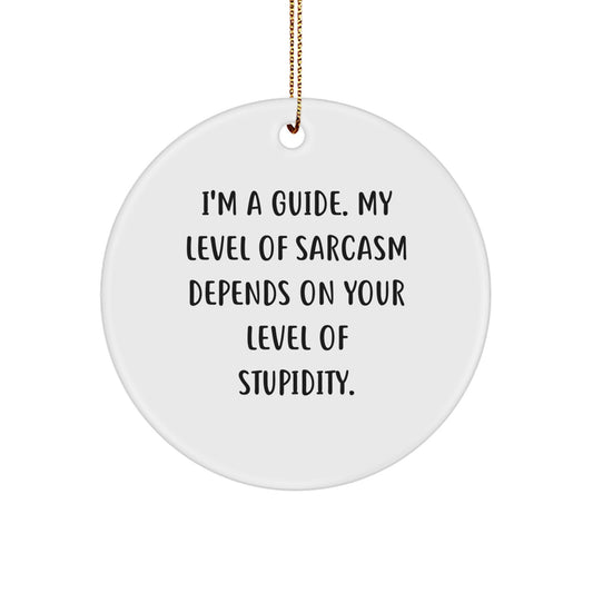 Funny Guide Gifts from Friends or Coworkers - Circle Ornament for Guide, Men, Women, Christmas Unique Gifts - Image 1