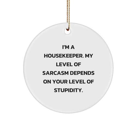 Funny Housekeeper Gifts, Housekeeper Christmas Unique Ornaments, Gifts from Friends for Housekeeper, Circle Ornament with Sarcasm Humor - Image 1