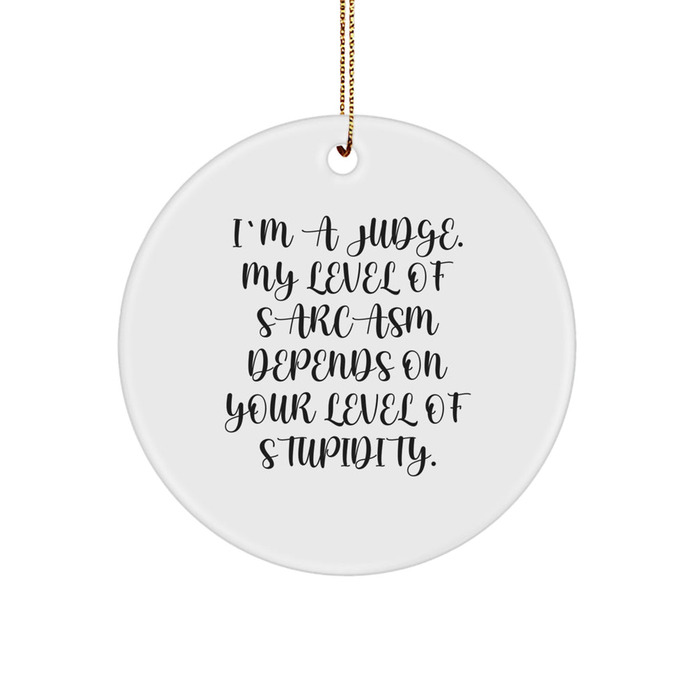 Funny Judge Sarcasm Gifts for Men from Family, Christmas Unique Ornaments, Circle Judge - Image 1