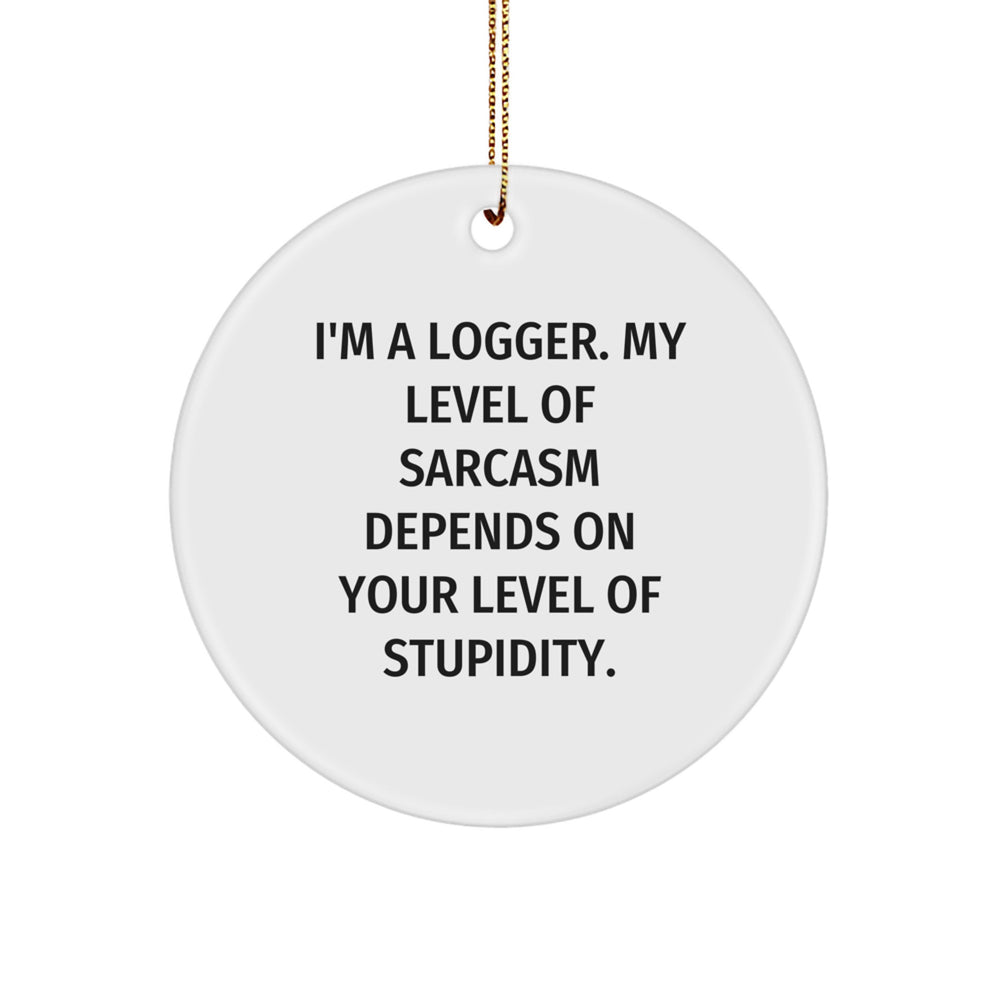 Funny Logger Gifts for Men, 'I'm A Logger. My Level Of Sarcasm Depends On Your Level Of Stupidity.' Christmas Unique Ornaments for Loggers - Image 1