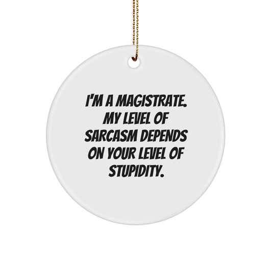 Funny Magistrate Gifts from Friends for Christmas - I'm A Magistrate, Circle Ornament, Sarcastic Humor Quote, Gifts for Magistrates, Men, Women - Image 1