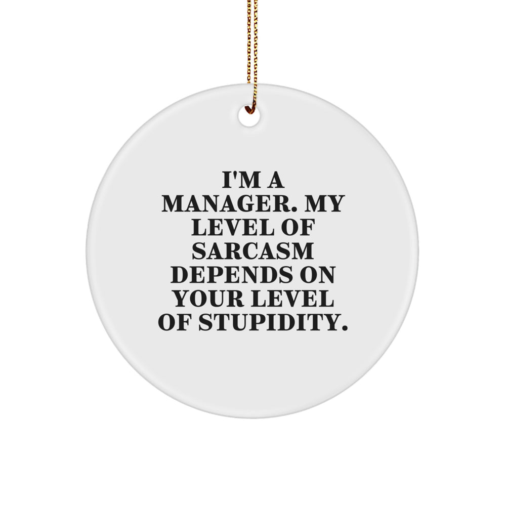 Funny Manager Gifts from Friends for Christmas Unique Circle Ornament, 'I'm A Manager. My Level Of Sarcasm Depends On Your Level Of Stupidity.' - Image 1