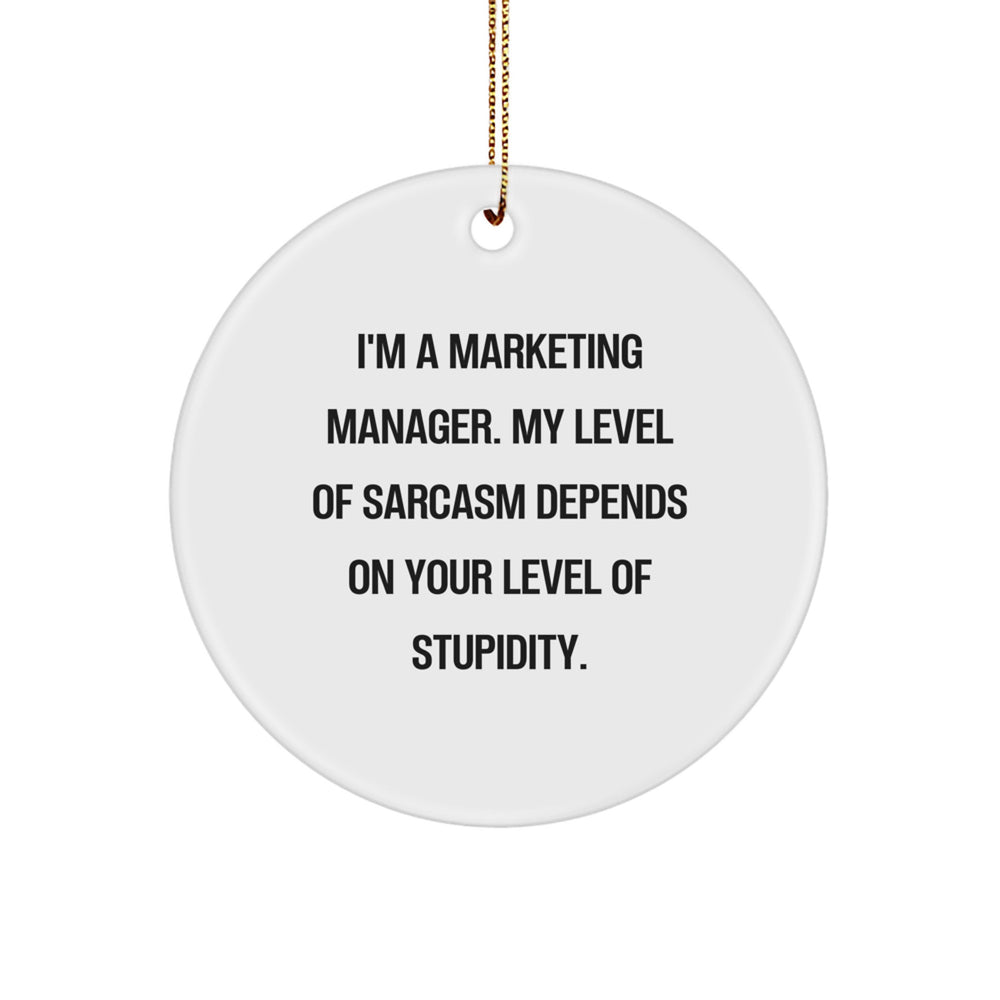 Unique Funny Marketing Manager Gifts from Friends for Christmas Circle Ornament with Sarcasm Quote - Image 1