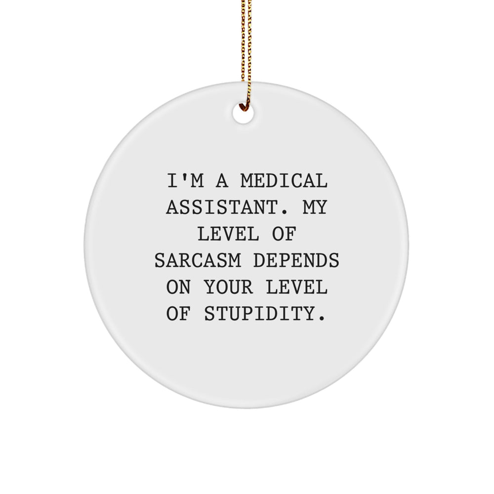 Funny Medical Assistant Gifts for Coworkers, Unique Circle Ornament, Inspirational Humor, Gifts from Family to Medical Assistants, Christmas Unique Gifts - Image 1