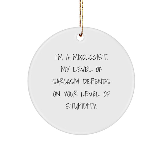 Funny Mixologist Gifts for Men - 'I'm A Mixologist' Circle Ornament, White Christmas Unique Decorations from Friends - Image 1
