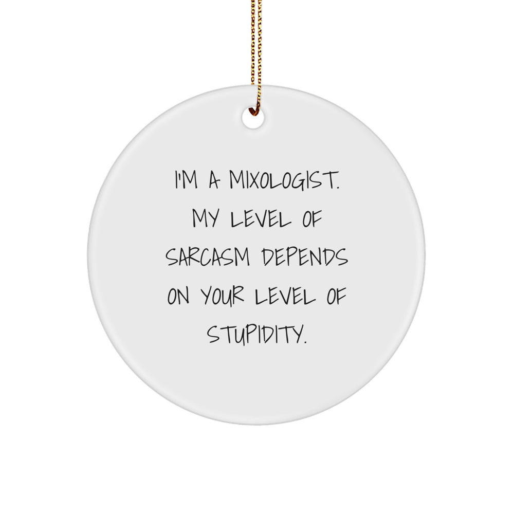 Funny Mixologist Gifts for Men - 'I'm A Mixologist' Circle Ornament, White Christmas Unique Decorations from Friends - Image 1