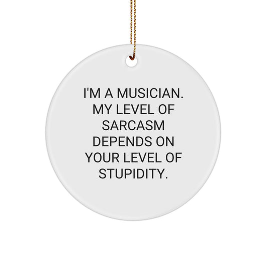 Funny Musician Gifts from Friends and Family - Unique Circle Ornament for Musician, Humorous Quote, Christmas Unique Gifts - Image 1