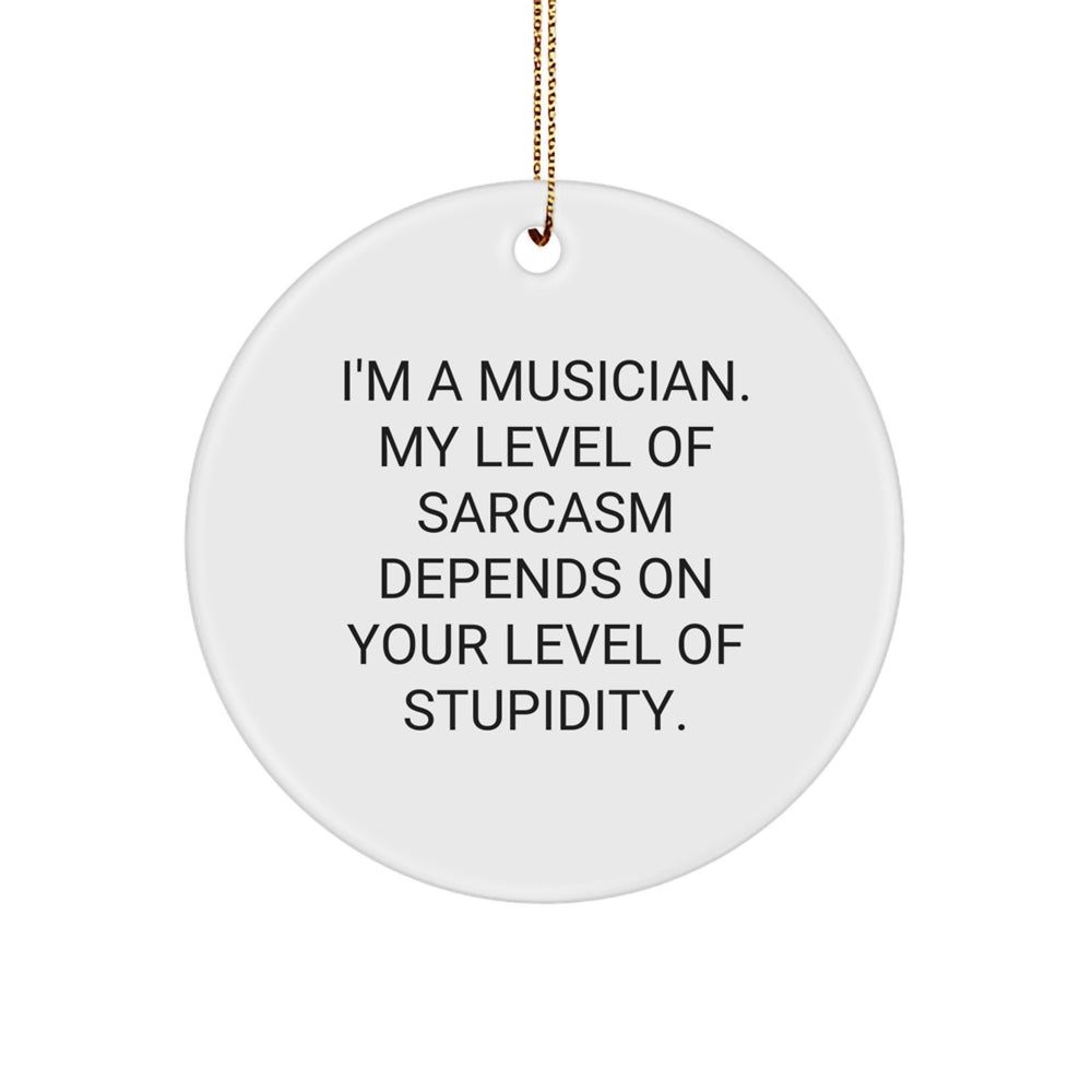 Funny Musician Gifts from Friends and Family - Unique Circle Ornament for Musician, Humorous Quote, Christmas Unique Gifts - Image 1