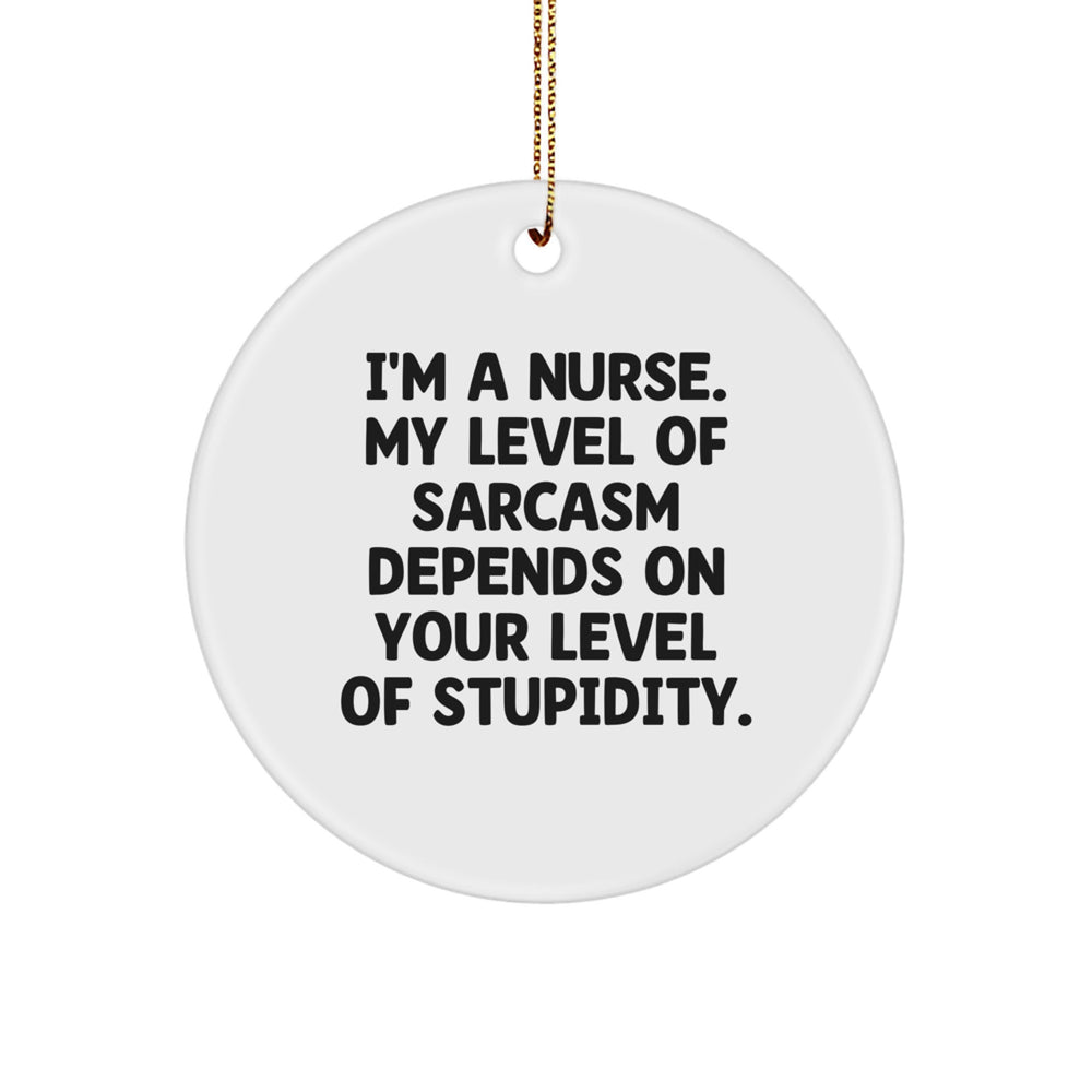 Funny Nurse Gifts from Friends - I'm A Nurse Circle Ornament, Christmas Unique Decorations for Nurse - Image 1