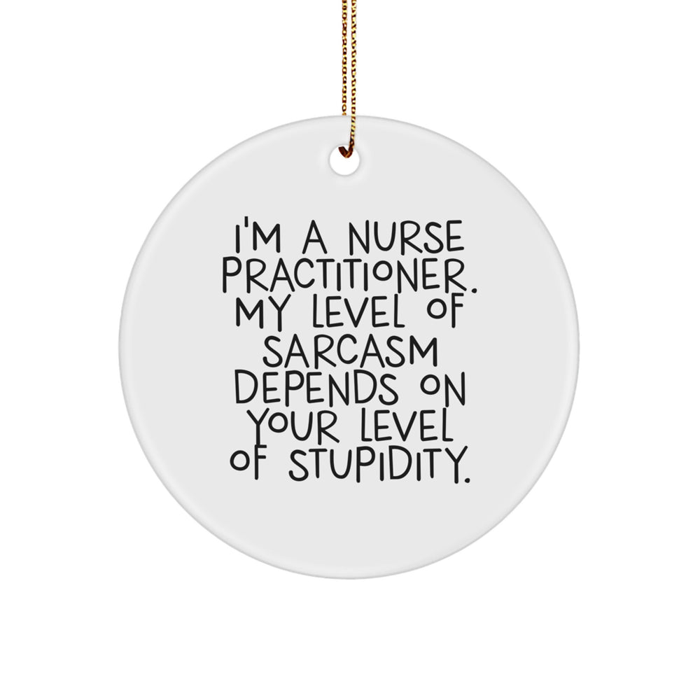 Funny Nurse Practitioner Gifts from Friends for Christmas Unique Circle Ornament with Sassy Quote - Image 1