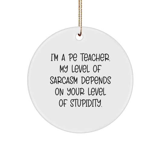 Funny PE Teacher Gifts for Men Women Friends Family - Sarcasm Circle Ornament, Gifts from Mom Dad, Christmas Unique Presents - Image 1