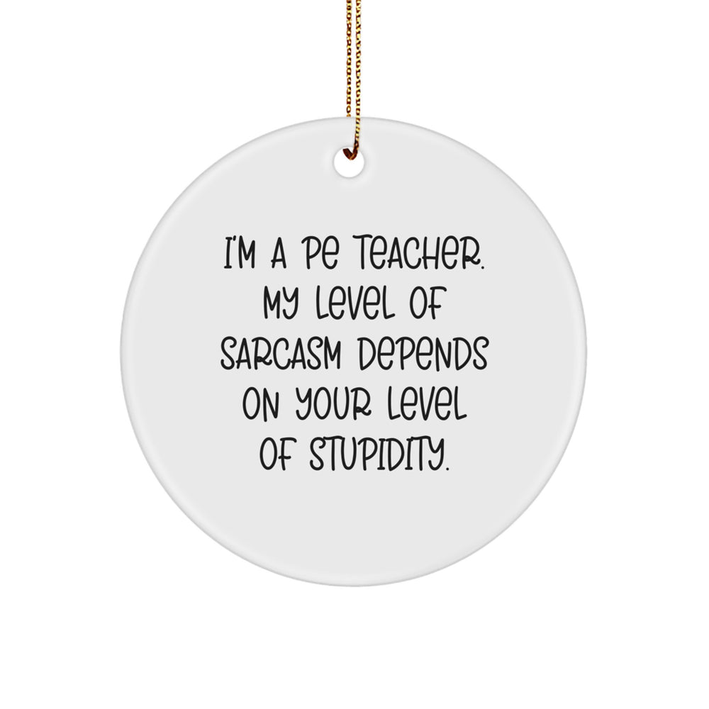 Funny PE Teacher Gifts for Men Women Friends Family - Sarcasm Circle Ornament, Gifts from Mom Dad, Christmas Unique Presents - Image 1