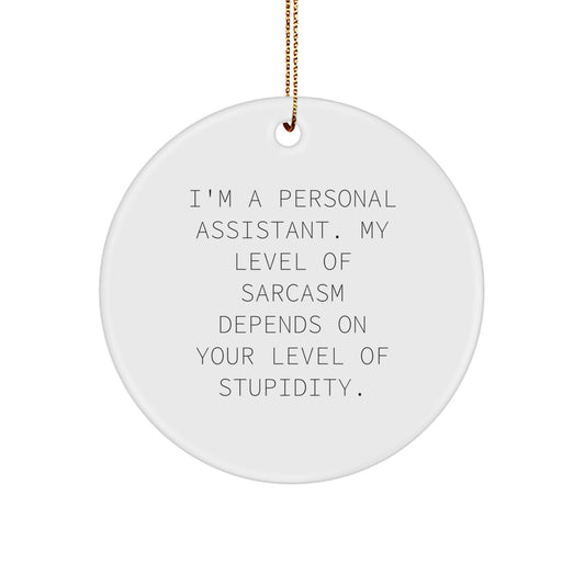 Funny Personal Assistant Gifts for Men from Friends - I'm a Personal Assistant Circle Ornament, Christmas Unique Gifts - Image 1
