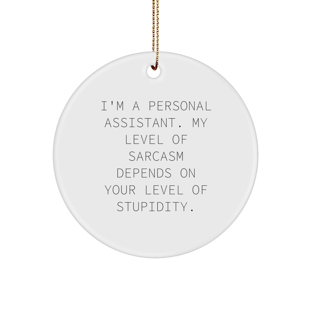 Funny Personal Assistant Gifts for Men from Friends - I'm a Personal Assistant Circle Ornament, Christmas Unique Gifts - Image 1