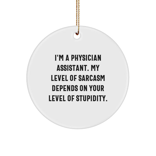 Funny Physician Assistant Gifts from Family - Circle Ornament for Christmas Unique Decorations, Inspirational Quote for PA - Image 1