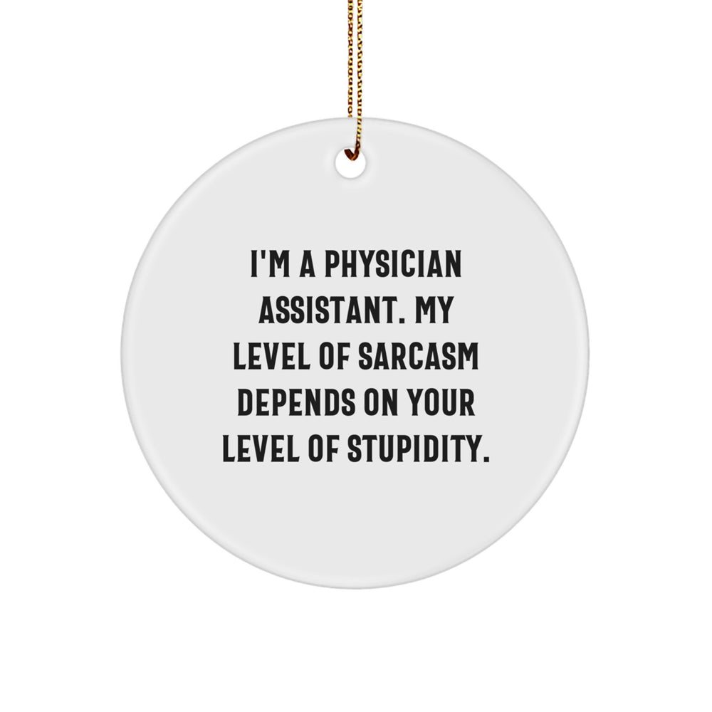 Funny Physician Assistant Gifts from Family - Circle Ornament for Christmas Unique Decorations, Inspirational Quote for PA - Image 1