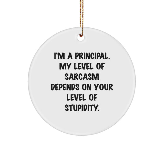 Funny Principal Circle Ornaments for Christmas Unique Gifts from Friends to Principal, Inspirational Principal Decorations - Image 1