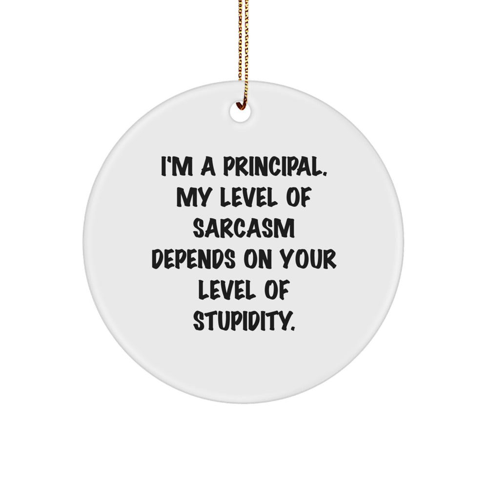 Funny Principal Circle Ornaments for Christmas Unique Gifts from Friends to Principal, Inspirational Principal Decorations - Image 1
