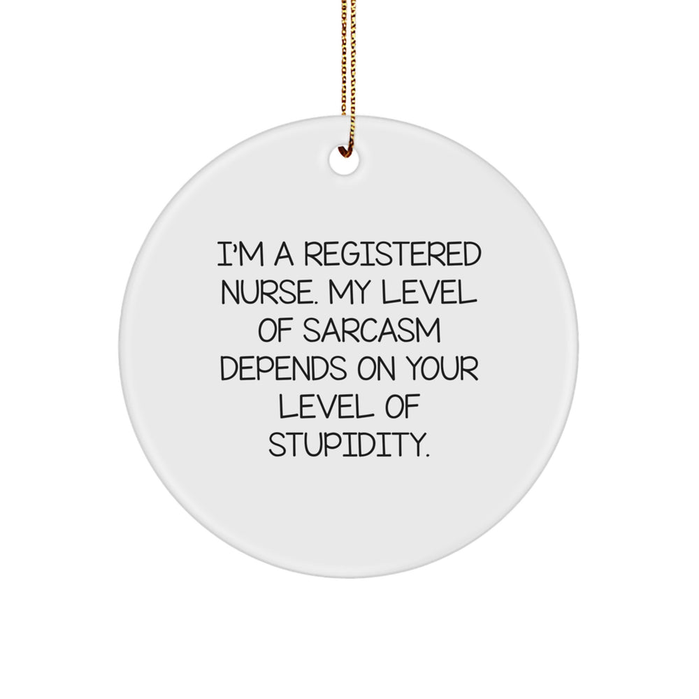 Funny Registered Nurse Gifts from Friends - Christmas Unique Circle Ornament with 'I'm A Registered Nurse. My Level Of Sarcasm Depends On Your Level Of Stupidity.' Quote - Image 1