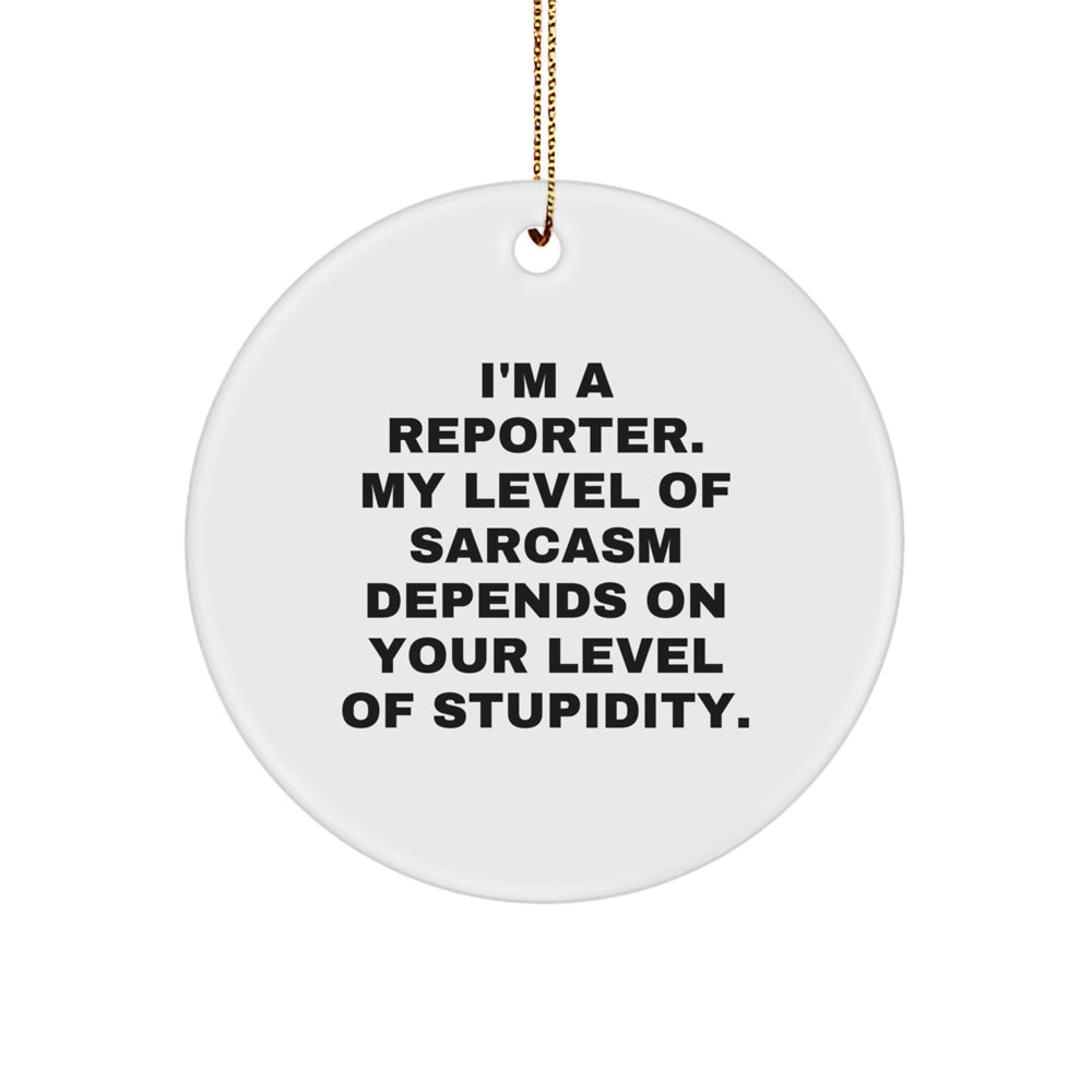 Funny Reporter Circle Ornament Gifts for Reporter Friends Family Christmas Unique Presents - Image 1