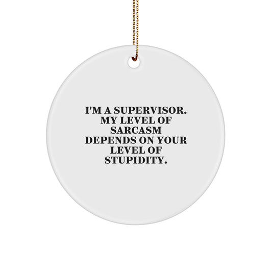 Funny Supervisor Gifts from Friends, Cute Christmas Unique Gifts for Supervisor, I'm A Supervisor Circle Ornament with Sarcasm Humor - Image 1