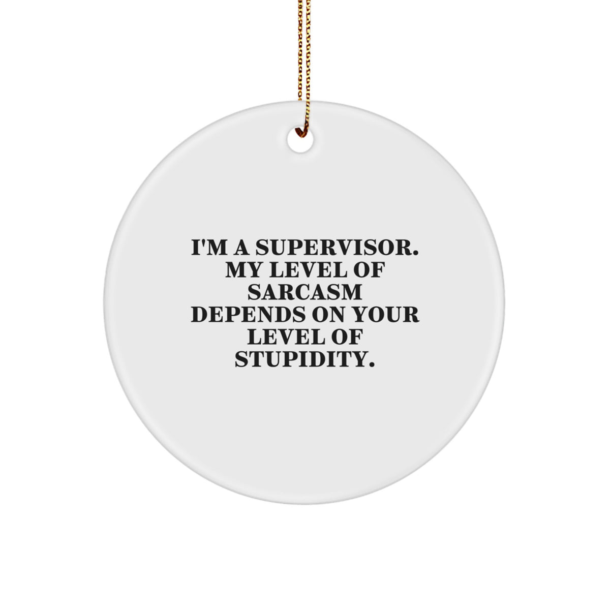 Funny Supervisor Gifts from Friends, Cute Christmas Unique Gifts for Supervisor, I'm A Supervisor Circle Ornament with Sarcasm Humor - Image 1