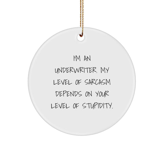 Funny Underwriter Gifts from Friends - Unique Circle Ornament with Sarcasm Quote for Underwriter Colleagues at Christmas - Image 1