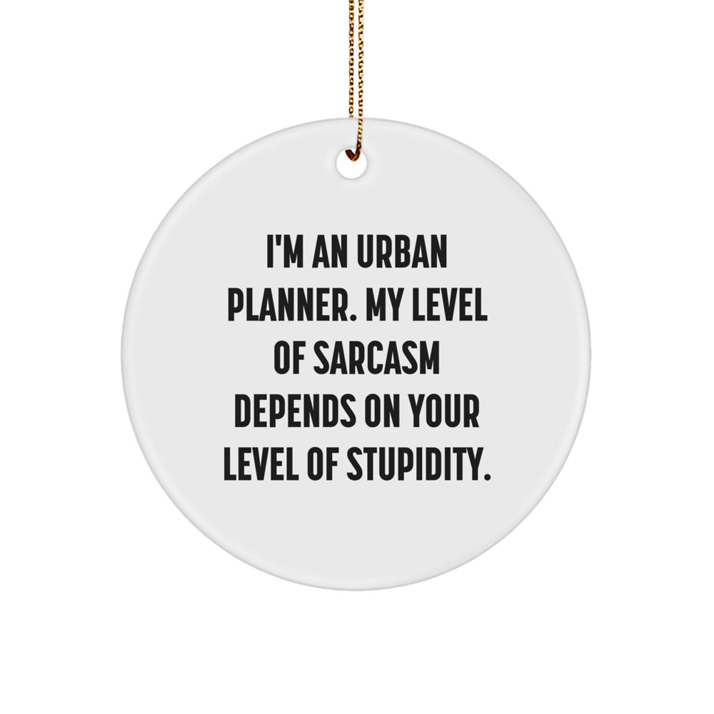 Urban Planner Gifts from Friends, Funny Sarcasm Circle Ornament for Men, Women, Family, 2.75" Tall, Christmas Unique Gifts - Image 1