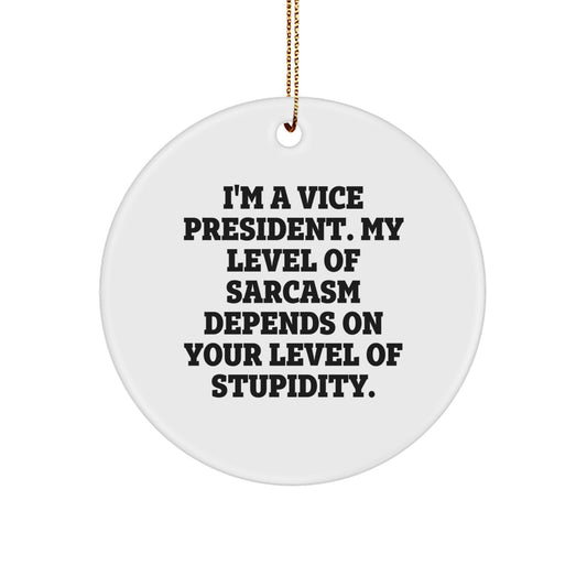 Funny Vice President Gifts for Men, Vice President Circle Ornament, Sarcasm Quote Christmas Unique Gifts from Family - Image 1