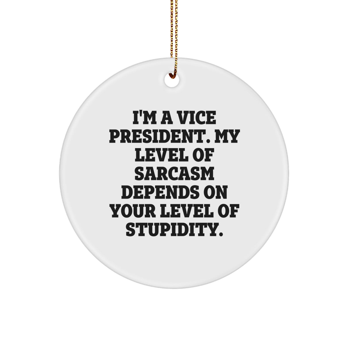 Funny Vice President Gifts for Men, Vice President Circle Ornament, Sarcasm Quote Christmas Unique Gifts from Family - Image 1