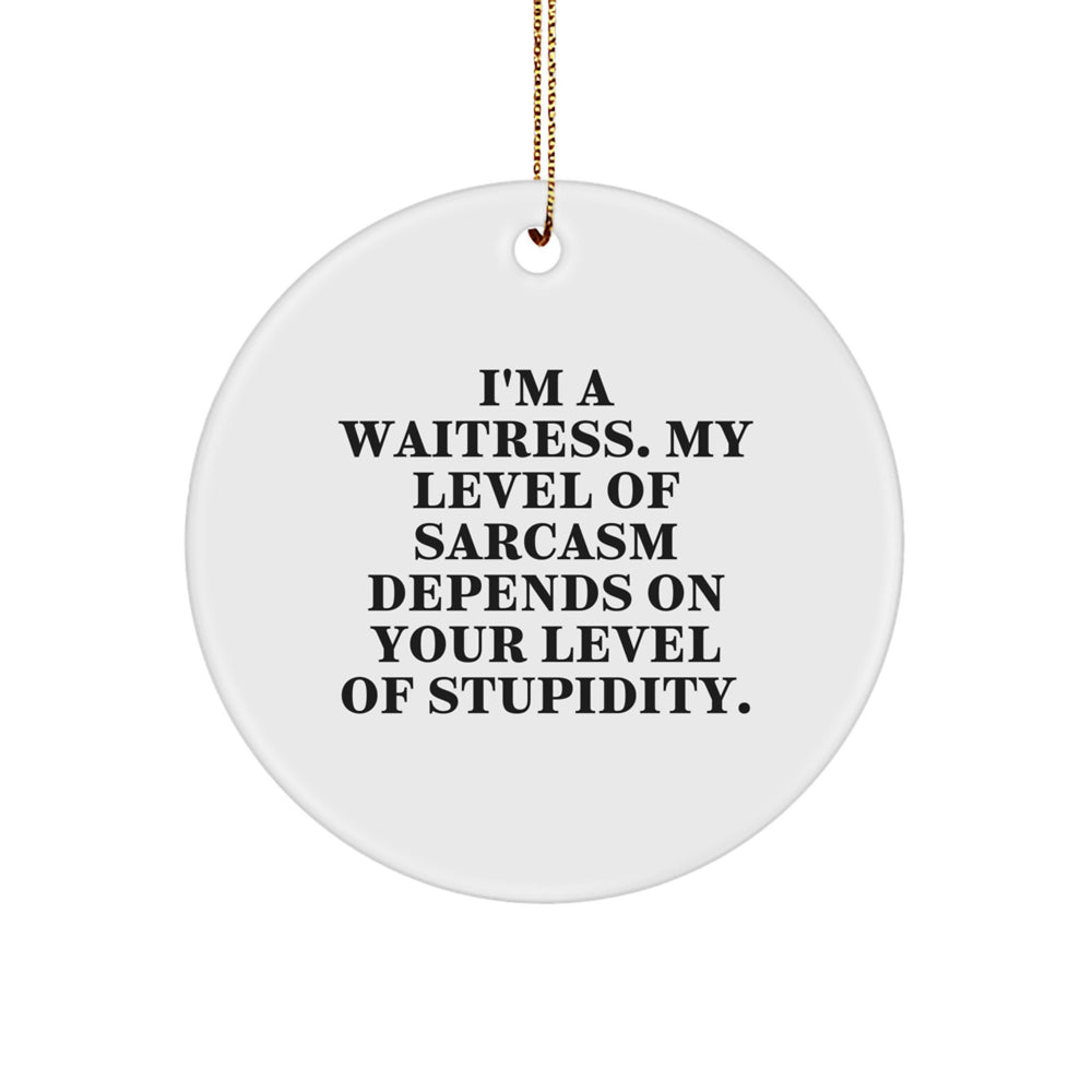 Funny Waitress Gifts from Friends - I'm A Waitress, My Level Of Sarcasm Depends On Your Level Of Stupidity., Circle Ornament for Christmas Unique Gifts - Image 1