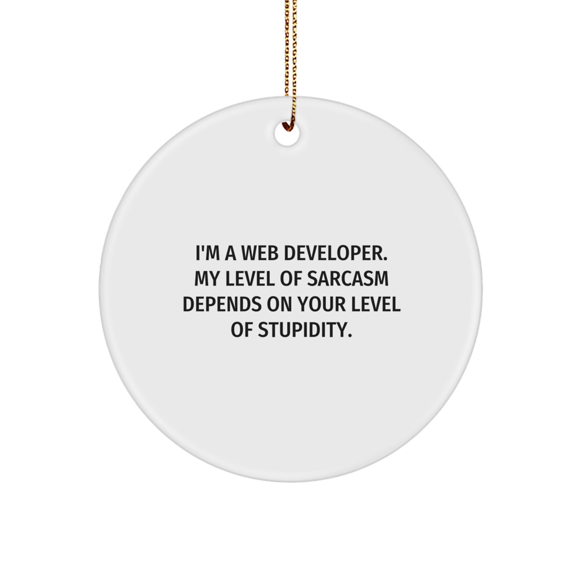 Funny Web Developer Gifts from Friends, Christmas Unique Circle Ornaments for Web Developers, I'm A Web Developer My Level Of Sarcasm Depends On Your Level Of Stupidity - Image 1