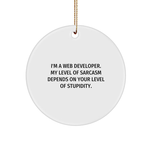 Funny Web Developer Gifts from Friends, Christmas Unique Circle Ornaments for Web Developers, I'm A Web Developer My Level Of Sarcasm Depends On Your Level Of Stupidity - Image 1