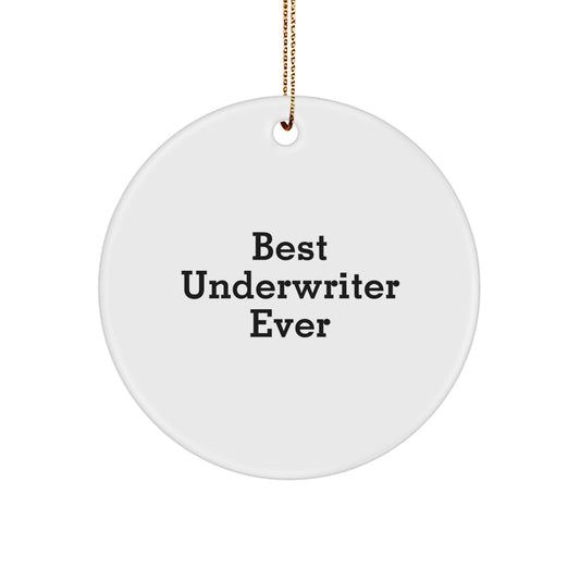 Funny Best Underwriter Ever Circle Ornament Gifts from Men for Underwriter Christmas Unique Gifts - Image 1