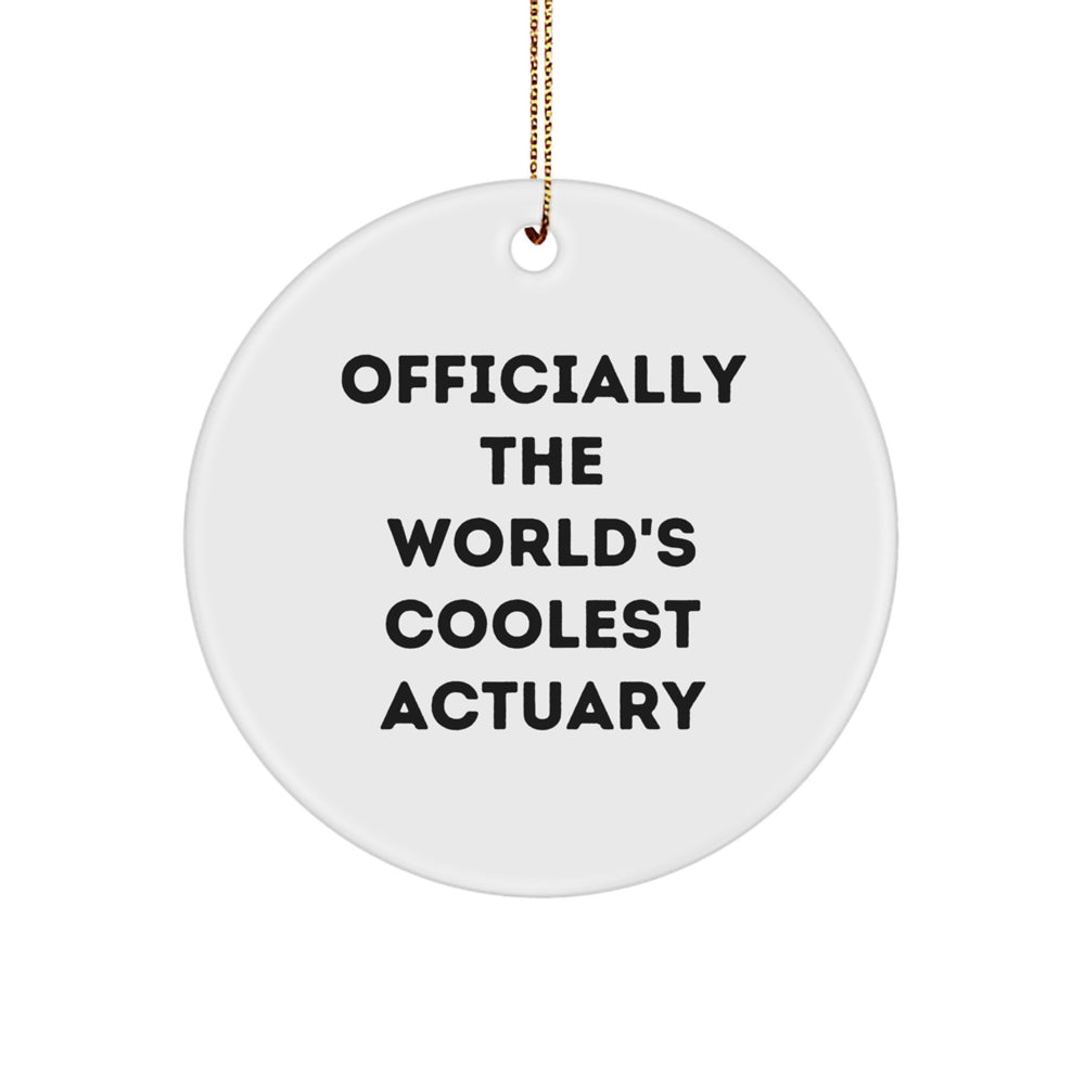 Funny Actuary Gifts for Actuary, World's Coolest Actuary Circle Ornament for Christmas Unique Gifts from Friends - Image 1